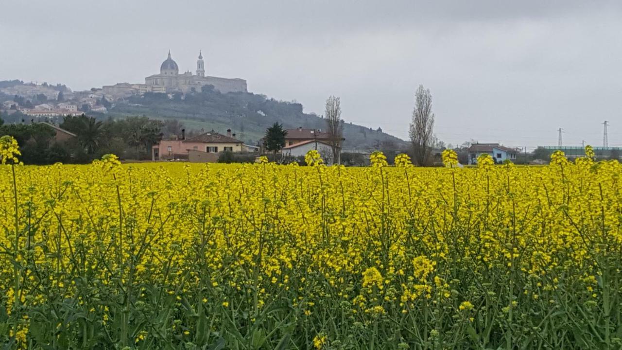 Villetta Del Conero 포르토레카나티 외부 사진